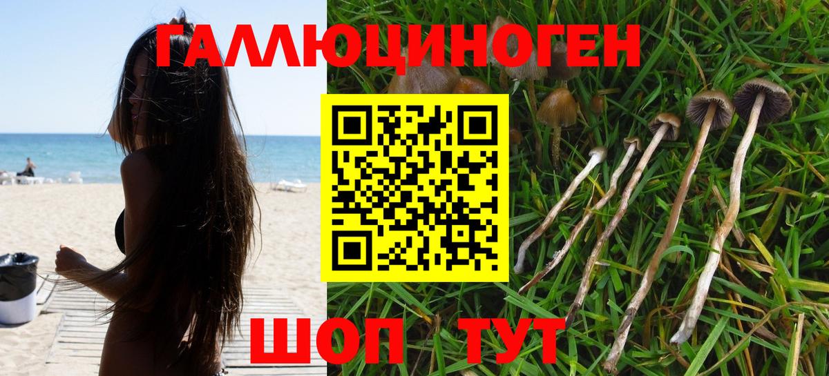 Галлюциногенные грибы Magic Shrooms  Вход с VPN  Галлюциногенные грибы Psilocybine cubensis  Барнаул 